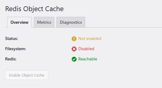 Redis Object Cache showing Filesystem: Disabled error